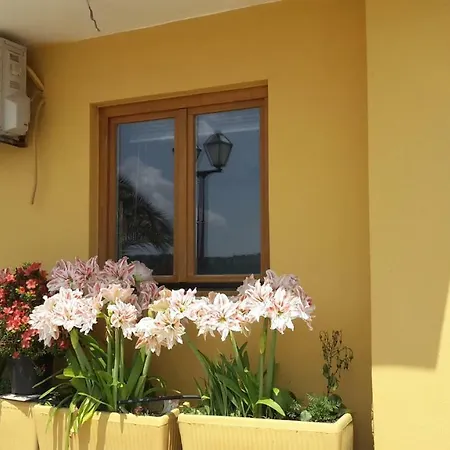 Apartmani More Apartman